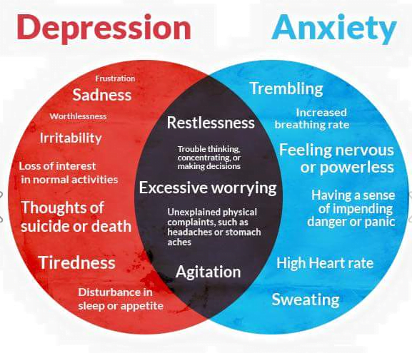 Depression Anxiety Causes